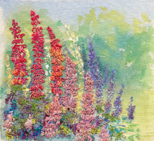 Lupins