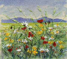 Machair North Uist