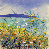 Northern Meadow