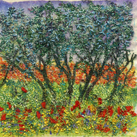 Olive Grove
