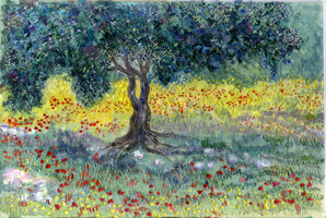 Olive Tree - Crete