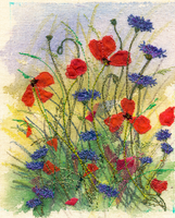 Poppies and Cornflowers