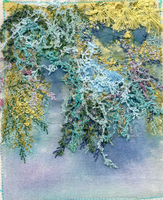SeaWeed