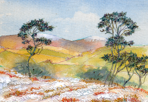 Snow on Cheviots