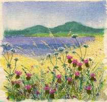 Summer Flowers Iona