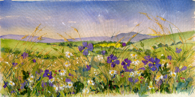 Meadow Alston